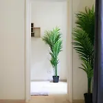 Exclusive & Spacious W/ 4bedrm 2bathrm Budapest